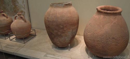 10384337 773109769441016 7515138285368236099 n