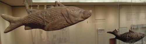 10428555 773109576107702 4979274280023755220 n